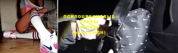 прущие грибы Красноперекопск