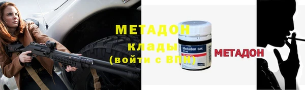 прущие грибы Красноперекопск