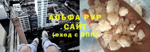 прущие грибы Красноперекопск